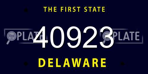 40923 Delaware License Plate