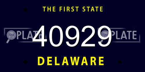 40929 Delaware License Plate