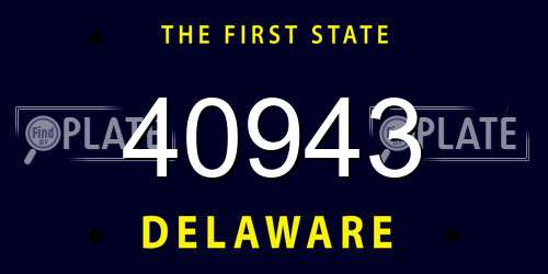 40943 Delaware License Plate