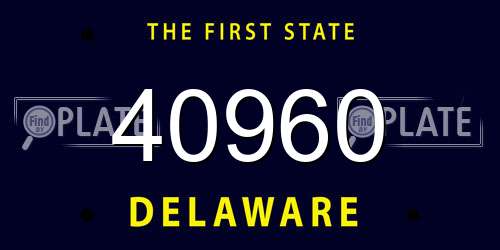 40960 Delaware License Plate