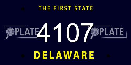 4107 Delaware License Plate