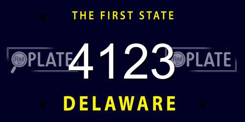 4123 Delaware License Plate