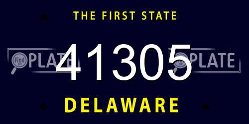 41305 Delaware License Plate