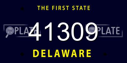 41309 Delaware License Plate