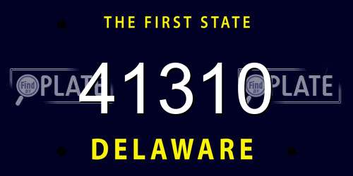 41310 Delaware License Plate