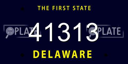 41313 Delaware License Plate