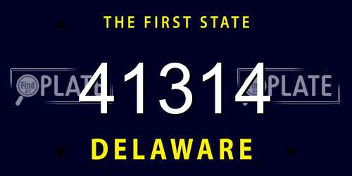 41314 Delaware License Plate