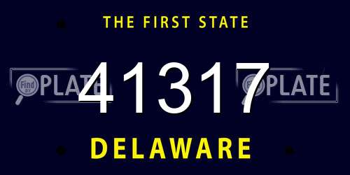 41317 Delaware License Plate