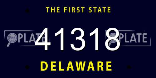 41318 Delaware License Plate