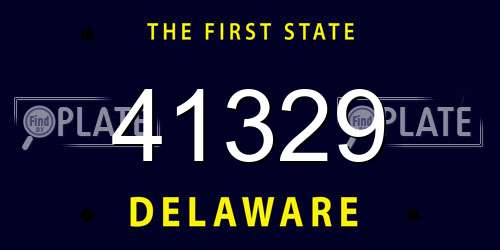 41329 Delaware License Plate