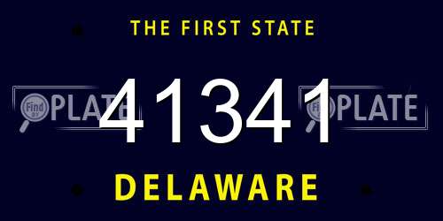 41341 Delaware License Plate