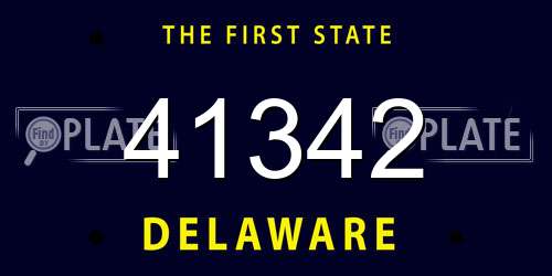 41342 Delaware License Plate