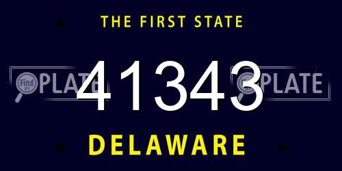 41343 Delaware License Plate