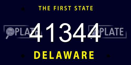 41344 Delaware License Plate
