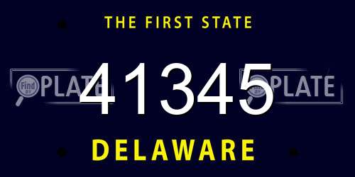 41345 Delaware License Plate
