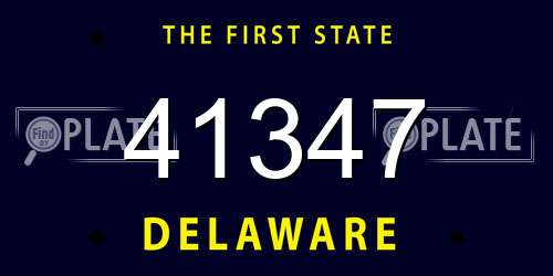 41347 Delaware License Plate