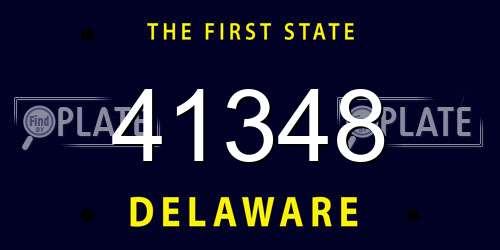 41348 Delaware License Plate