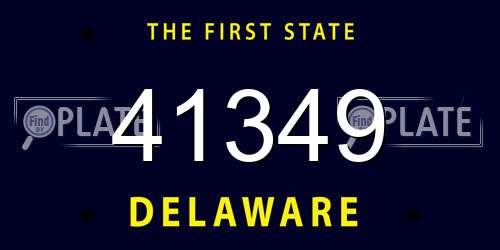 41349 Delaware License Plate