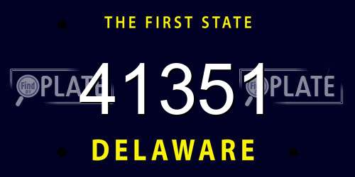 41351 Delaware License Plate