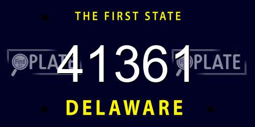 41361 Delaware License Plate