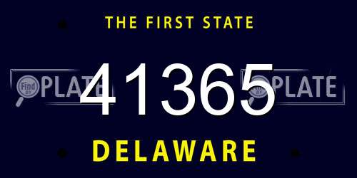 41365 Delaware License Plate
