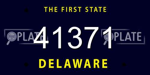 41371 Delaware License Plate