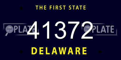 41372 Delaware License Plate
