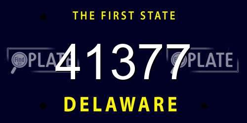 41377 Delaware License Plate