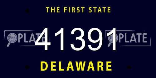 41391 Delaware License Plate