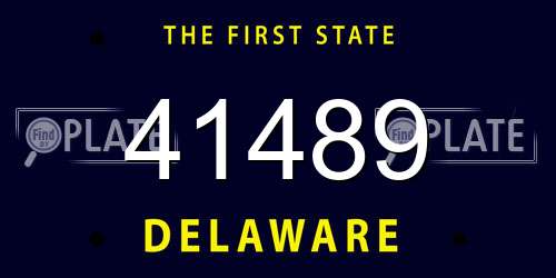 41489 Delaware License Plate