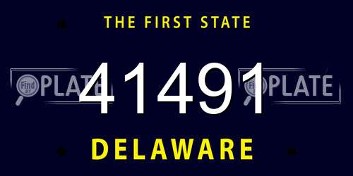 41491 Delaware License Plate