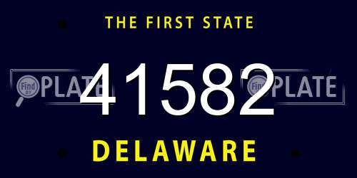 41582 Delaware License Plate