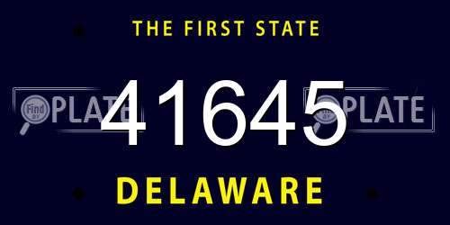 41645 Delaware License Plate