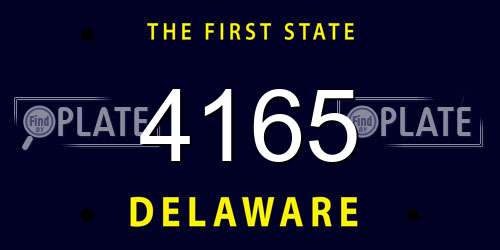 4165 Delaware License Plate