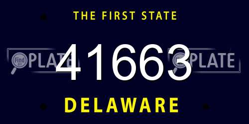 41663 Delaware License Plate