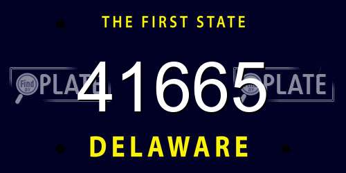 41665 Delaware License Plate