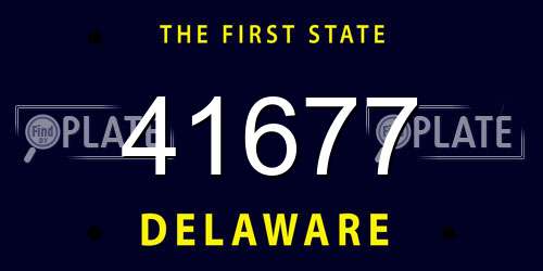 41677 Delaware License Plate