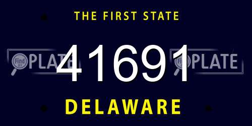 41691 Delaware License Plate