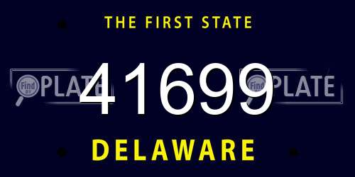 41699 Delaware License Plate