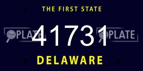 41731 Delaware License Plate