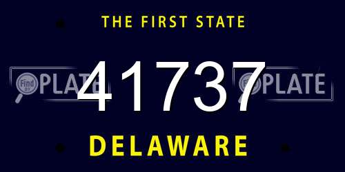 41737 Delaware License Plate