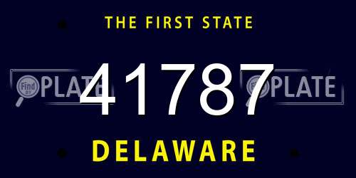 41787 Delaware License Plate