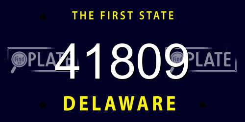 41809 Delaware License Plate