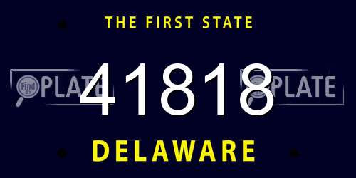 41818 Delaware License Plate