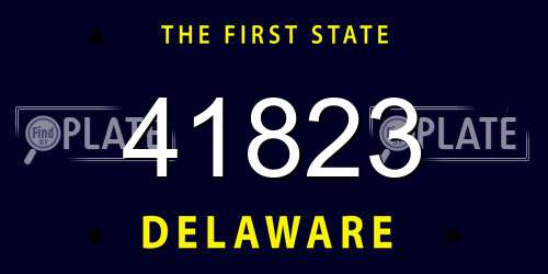 41823 Delaware License Plate