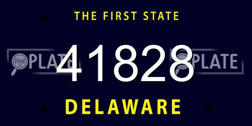 41828 Delaware License Plate