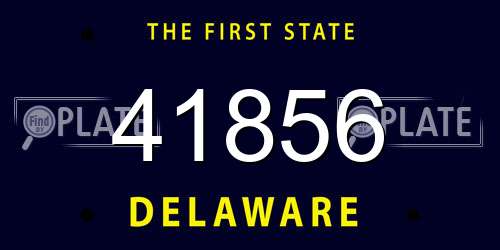 41856 Delaware License Plate