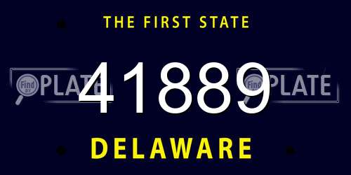 41889 Delaware License Plate