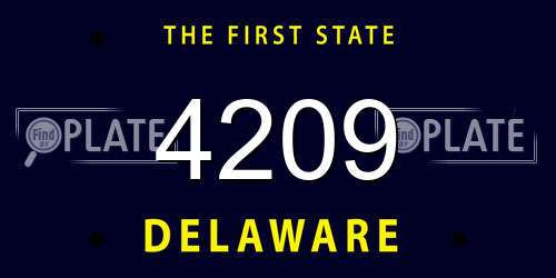 4209 Delaware License Plate