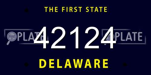 42124 Delaware License Plate